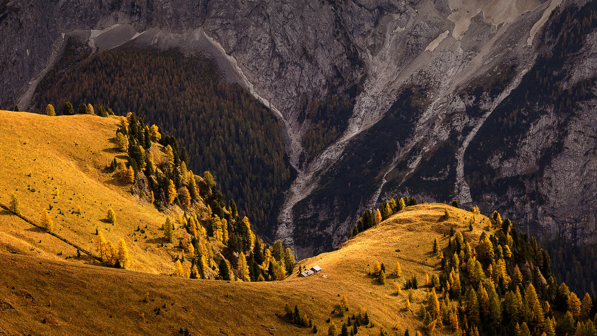 autumn in the Dolomites Poster och Canvastavla
