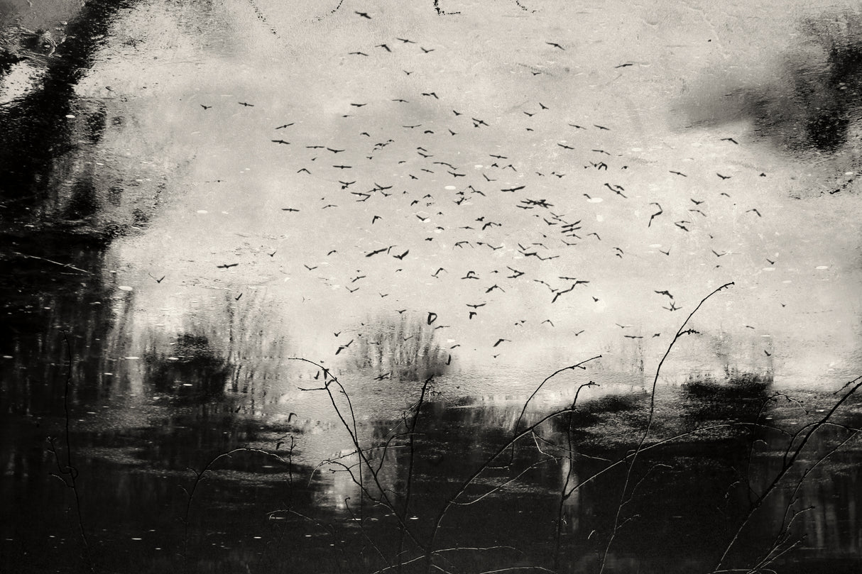 Poster och Canvastavla