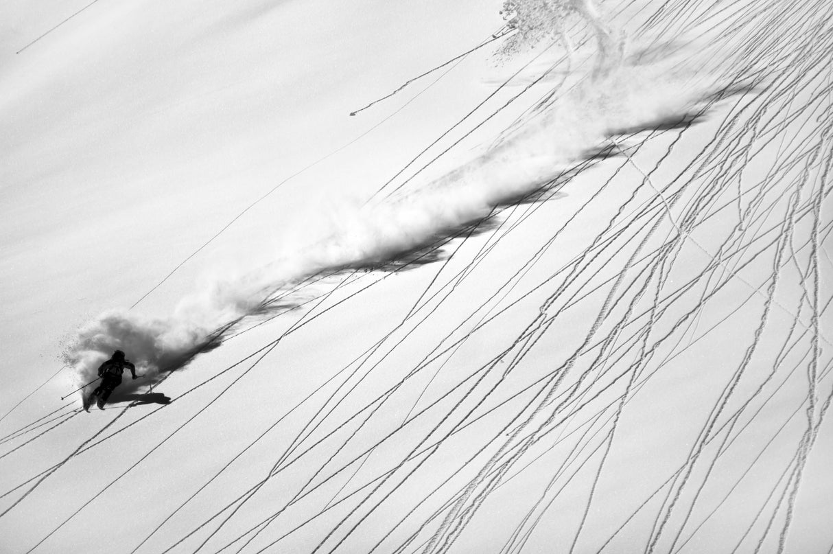 Skiing Powder Poster och Canvastavla
