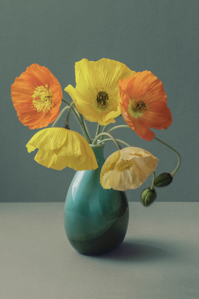 Icelandic Poppy Still Life Vas och keramikposter