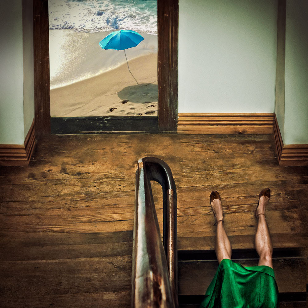 Swim or dive! Poster och Canvastavla