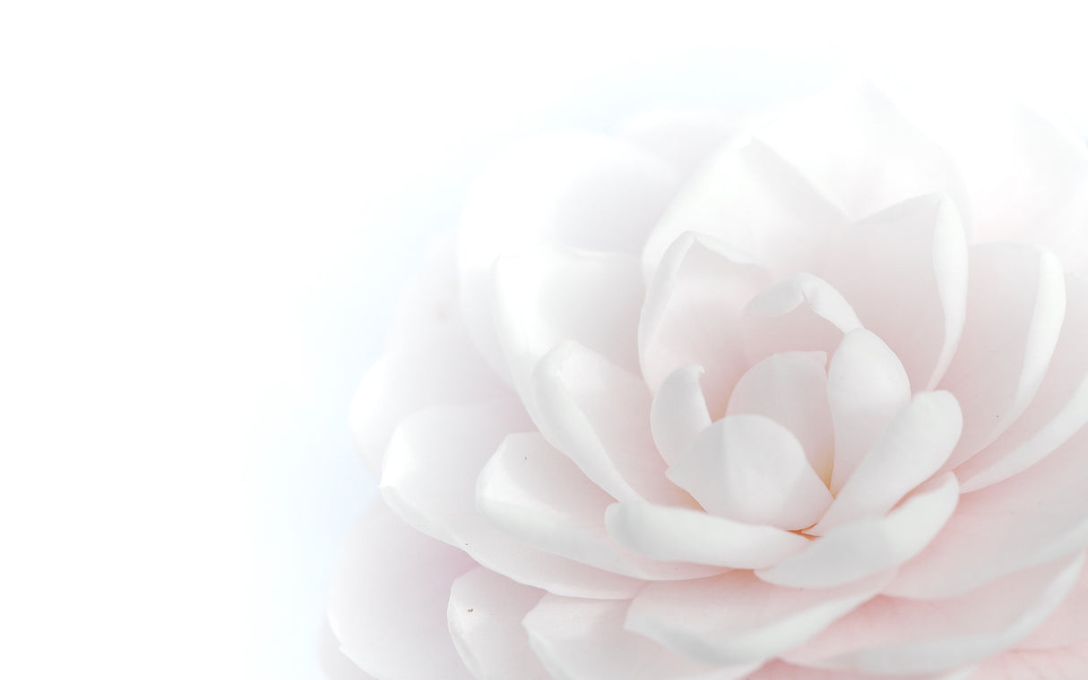 Tender Beauty Poster och Canvastavla