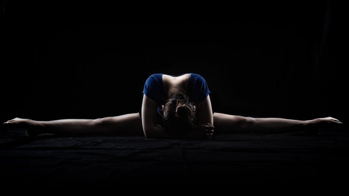 DANCER Poster och Canvastavla