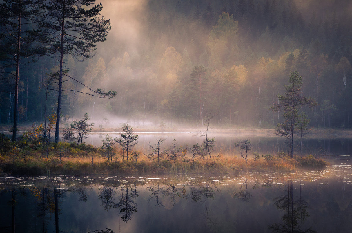 Misty Moment Poster och Canvastavla