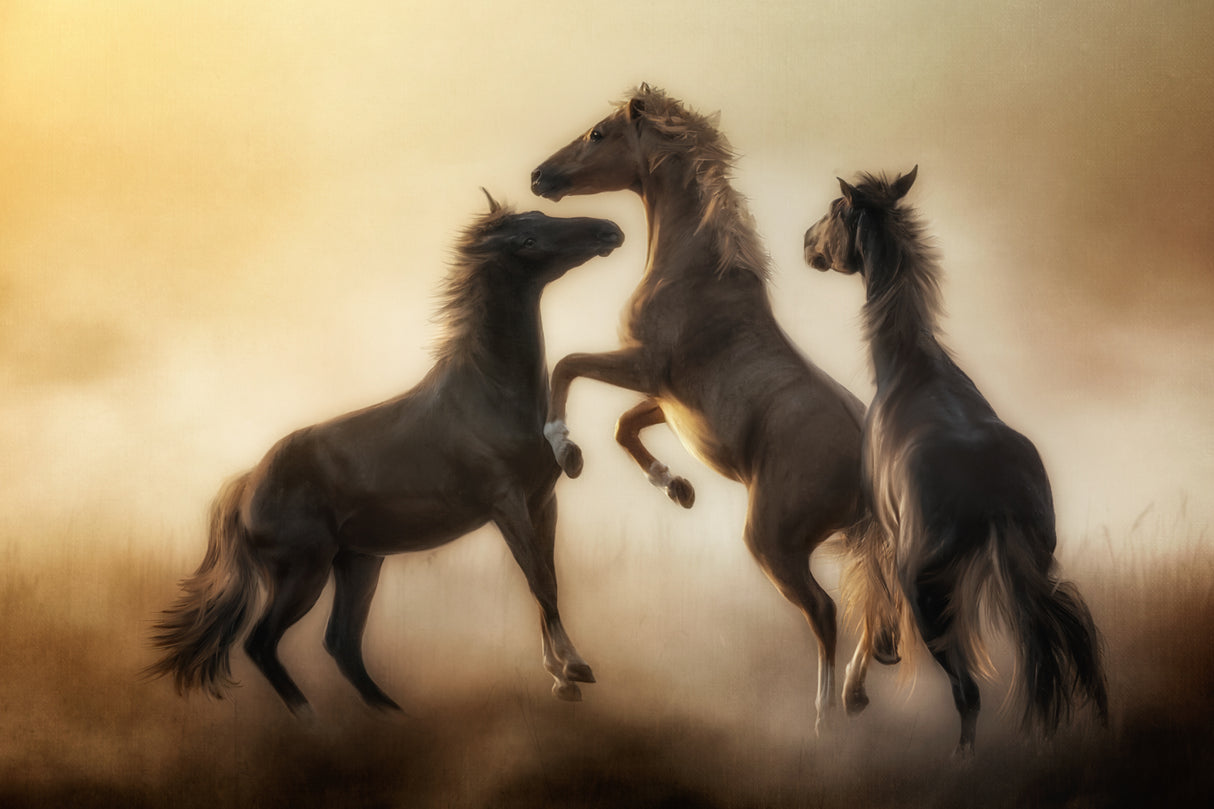 Show your courage, destiny’s time is here.... Poster och Canvastavla