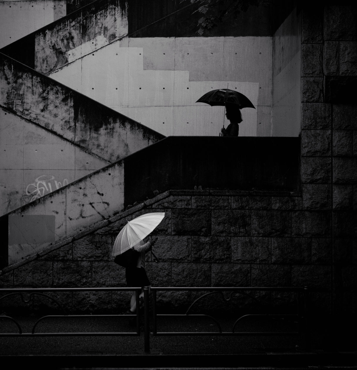 A black umbrella and a white umbrella Poster och Canvastavla