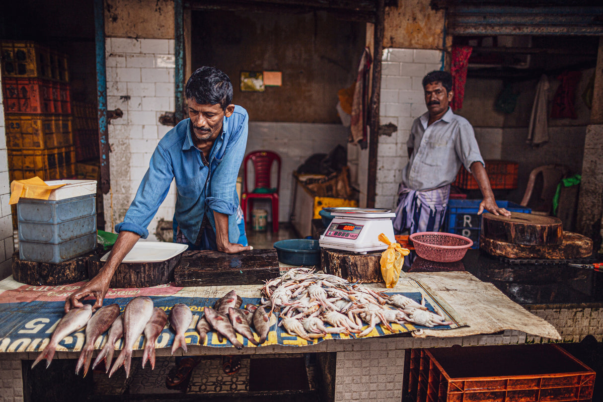 Fishmonger of Chocin Poster och Canvastavla
