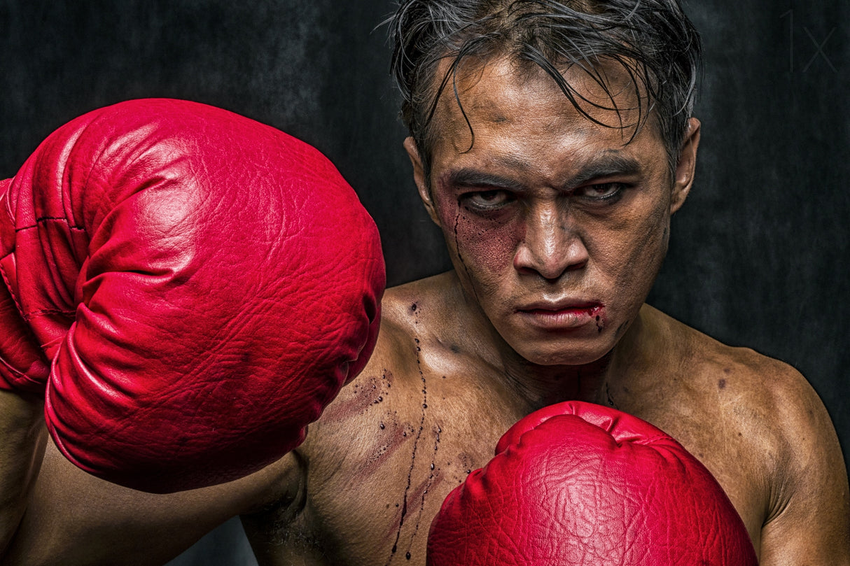 Martin The Boxer Poster och Canvastavla