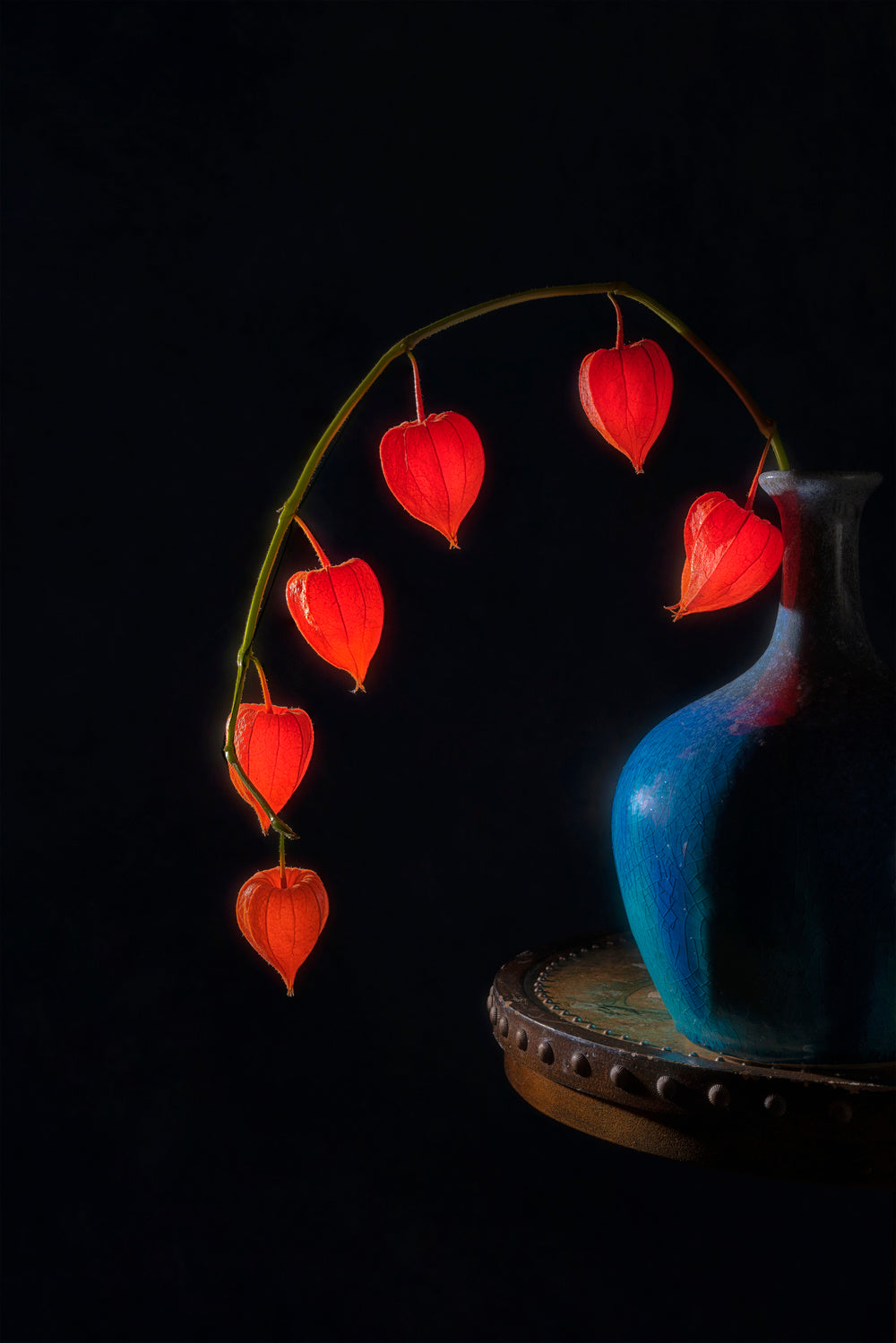 Chinese Lantern Poster och Canvastavla