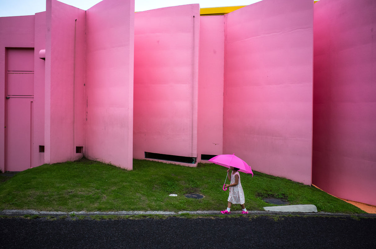 The pink color world Poster och Canvastavla