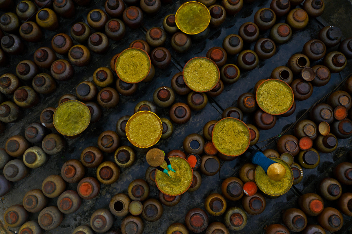 Making soy sauce Poster och Canvastavla
