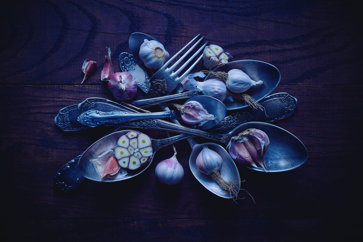 Spoons&Garlic Poster och Canvastavla