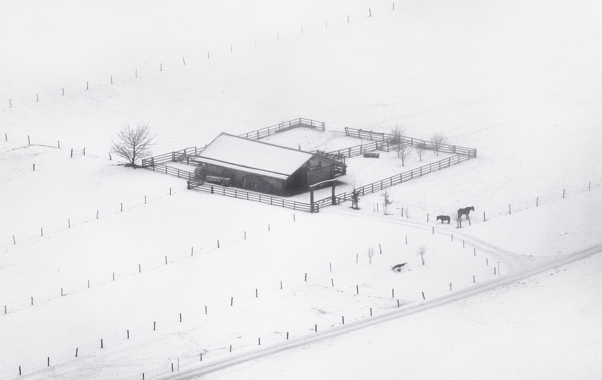 Winter solitude Poster och Canvastavla
