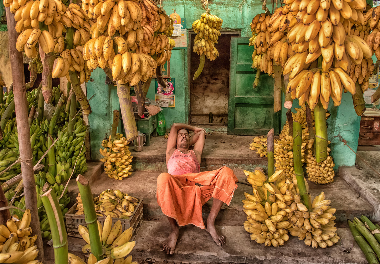 im Bananenparadies // In the banana paradise Poster och Canvastavla