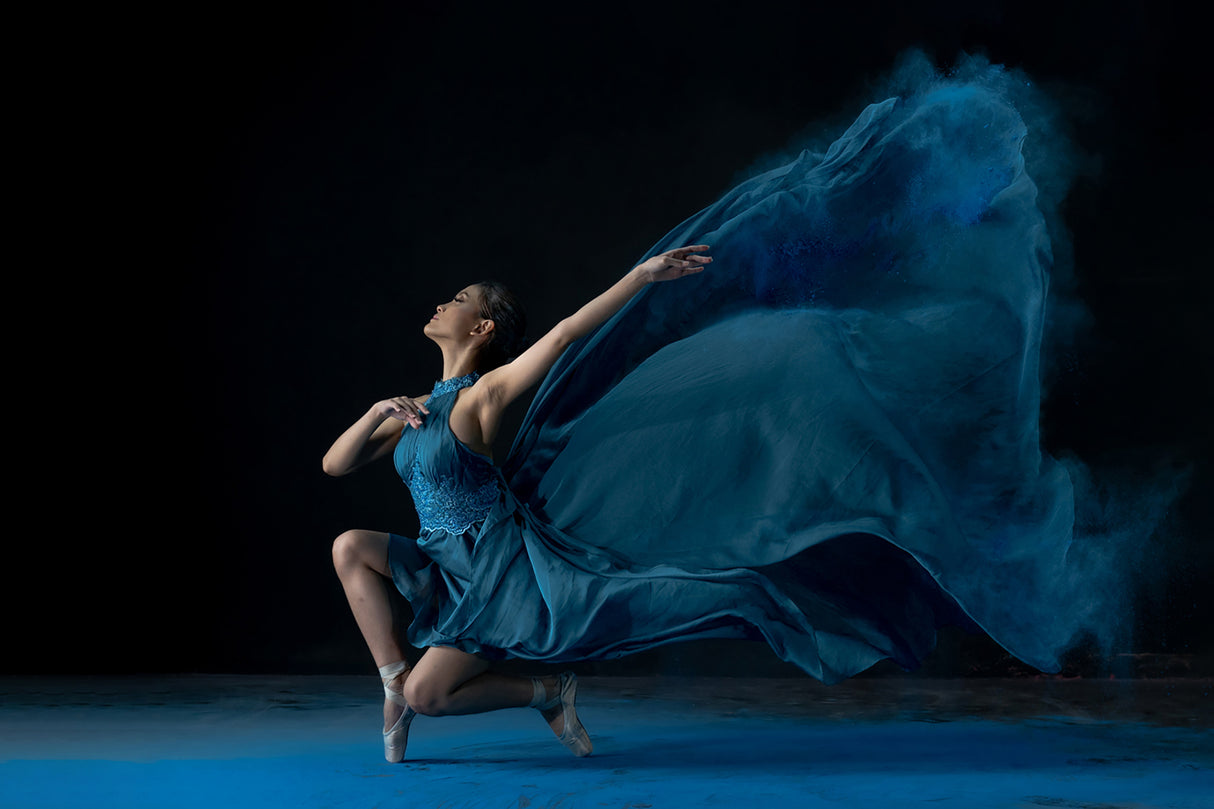 Beauty Balerina 1 Poster och Canvastavla