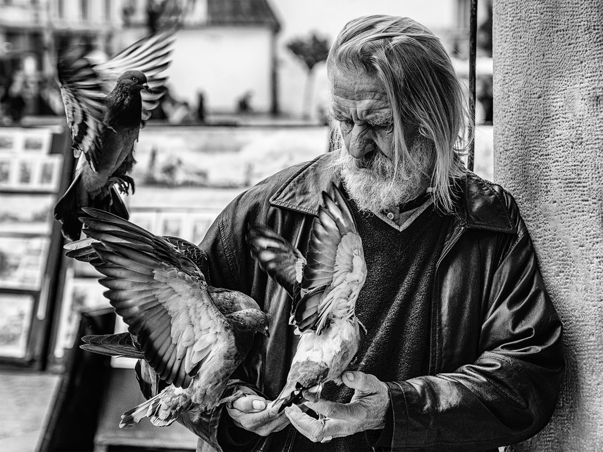 Birdman Poster och Canvastavla