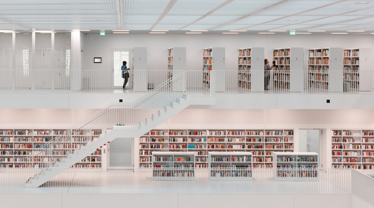 in the library, 2014 Poster och Canvastavla