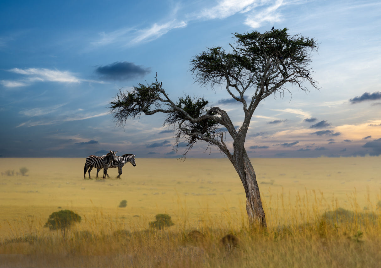 Nature’s Harmony Poster och Canvastavla