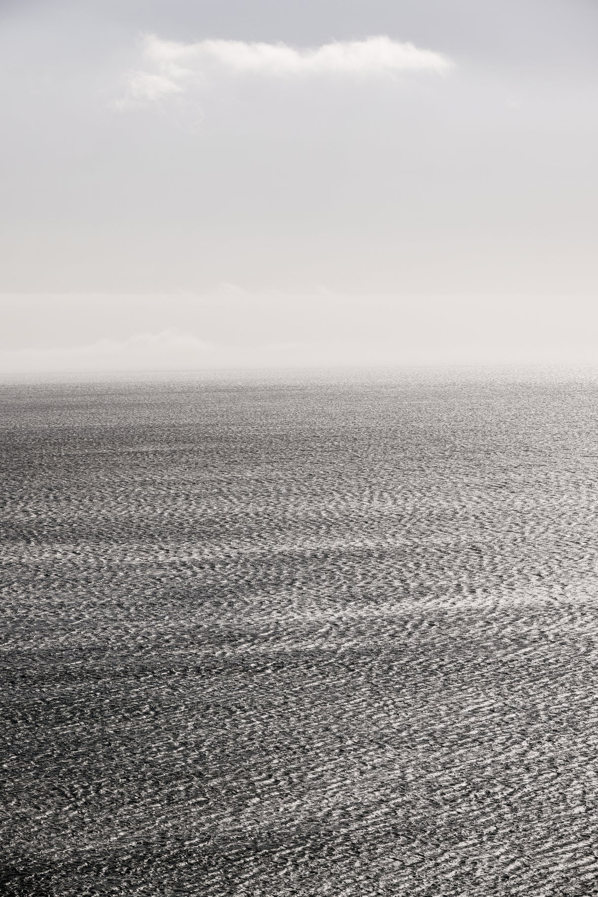 Carbon Seas Poster och Canvastavla