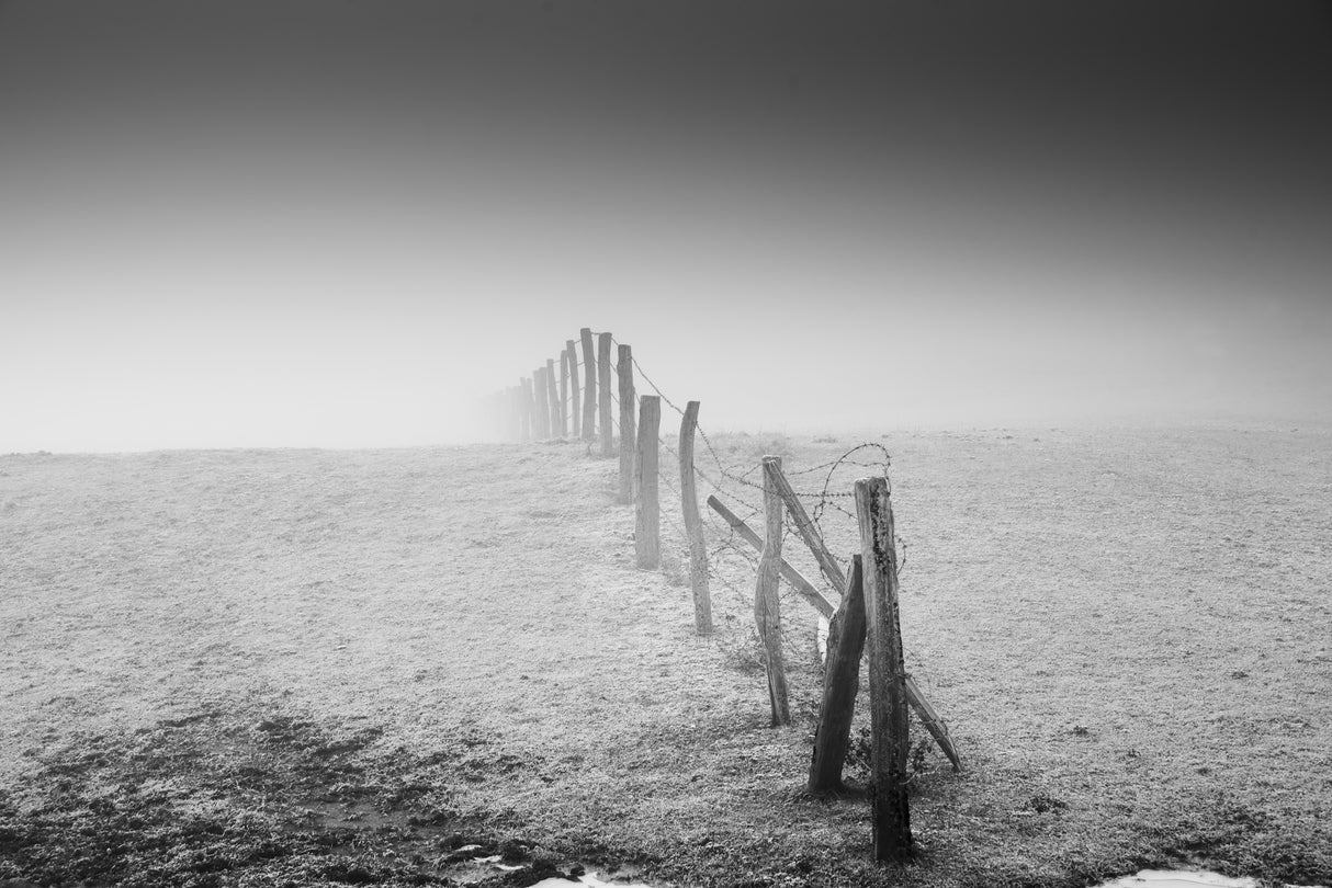 In the middle of nowhere... Poster och Canvastavla