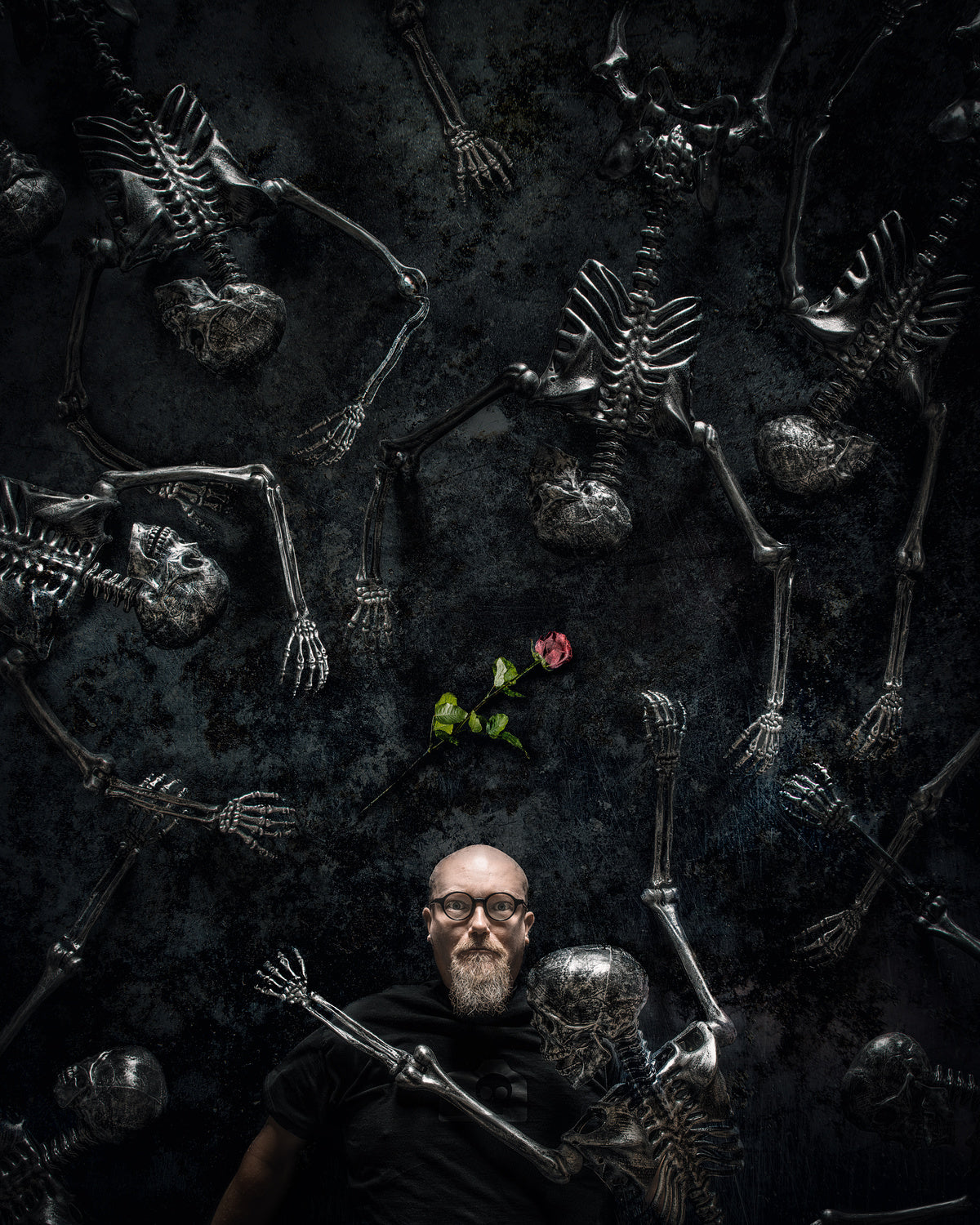 Skeletons and a Rose Poster och Canvastavla