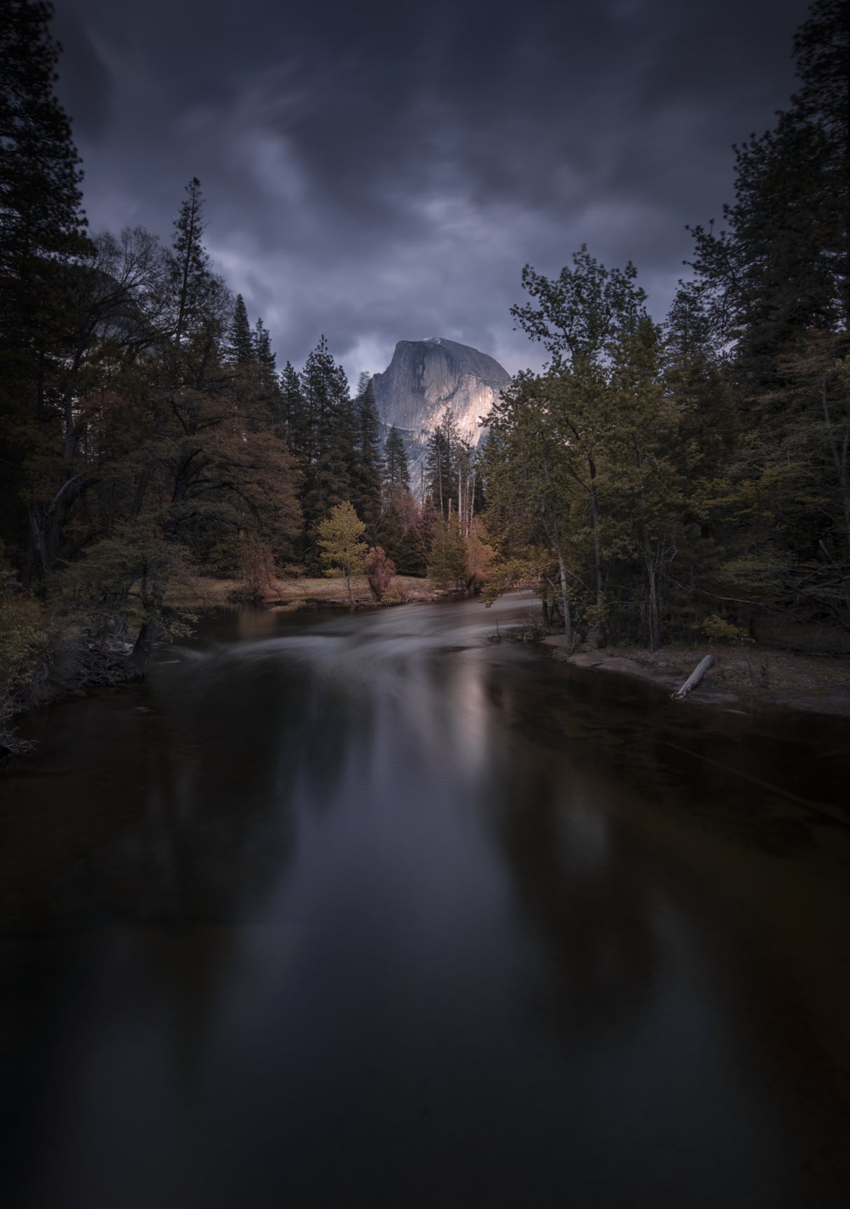 Yosemite NP Poster och Canvastavla