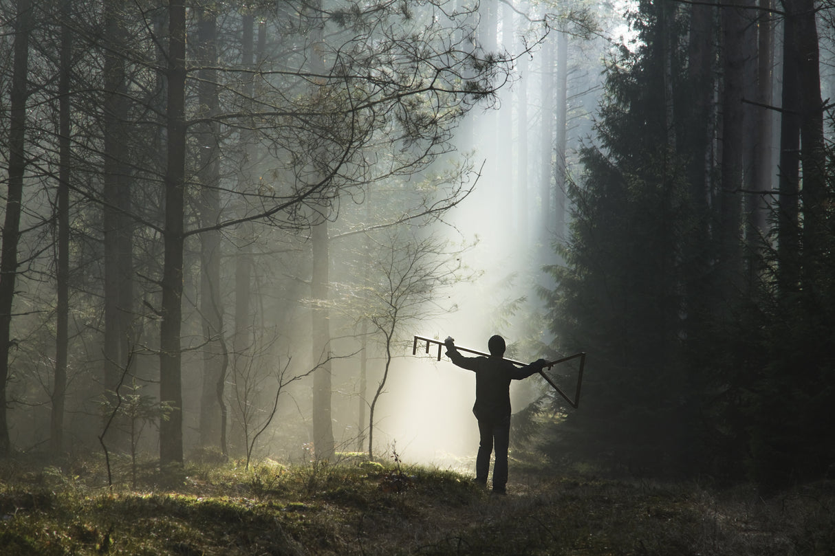 Finding your own way Poster och Canvastavla