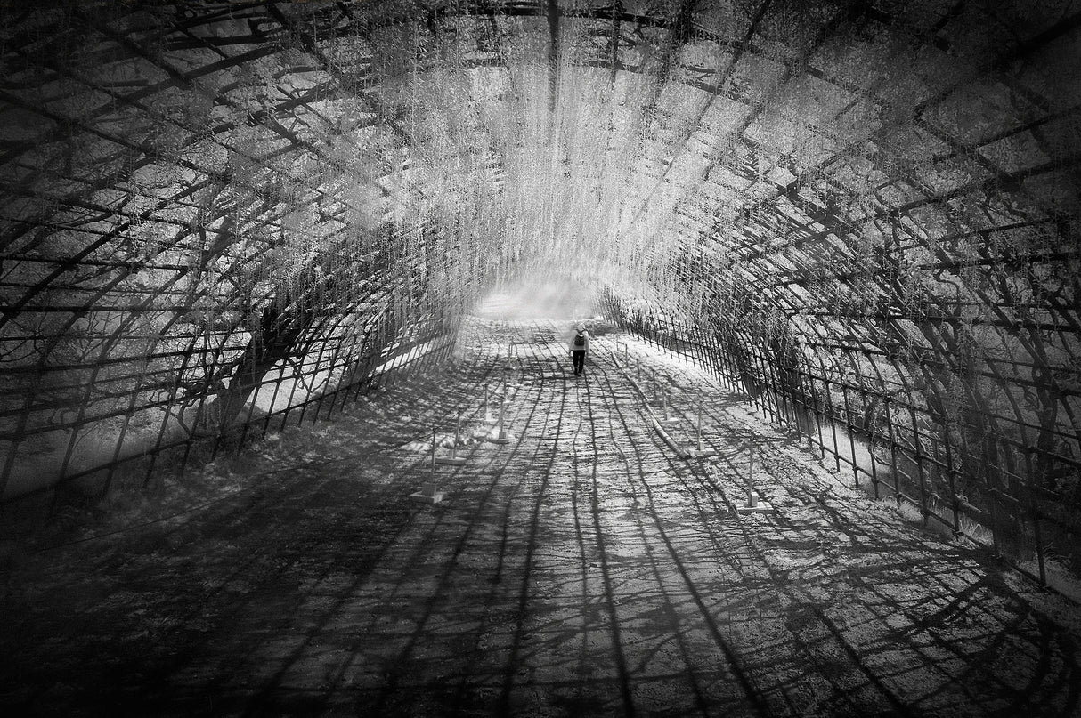 In the tunnel of flower Poster och Canvastavla