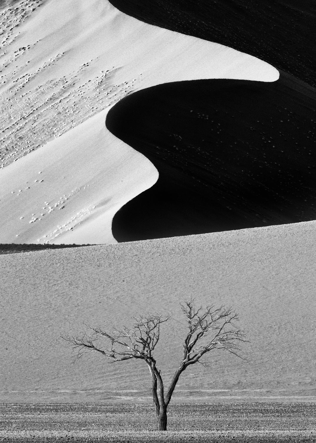 Dune Curves Poster och Canvastavla
