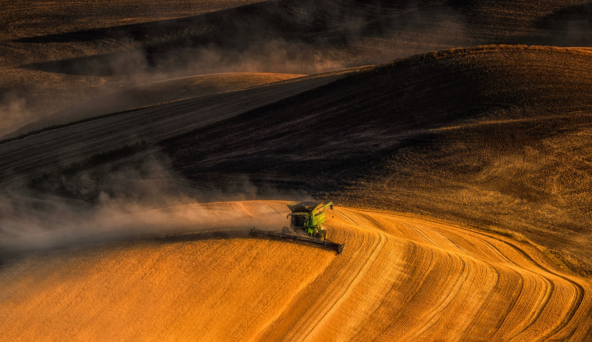 Fall Harvest Poster och Canvastavla