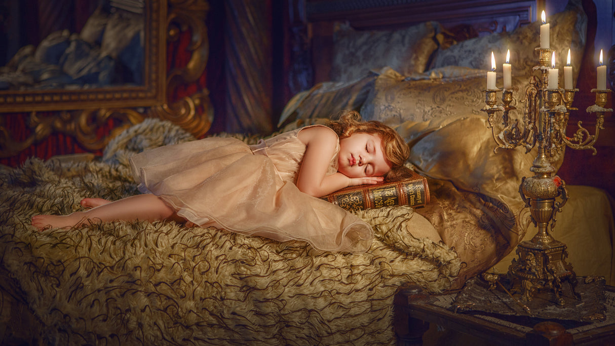 Dreams Poster och Canvastavla