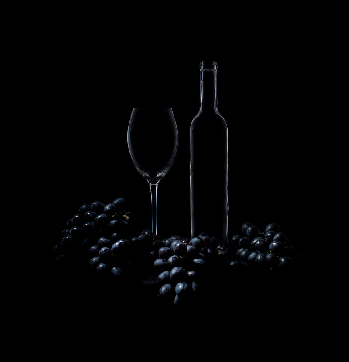 Black on Black Poster och Canvastavla