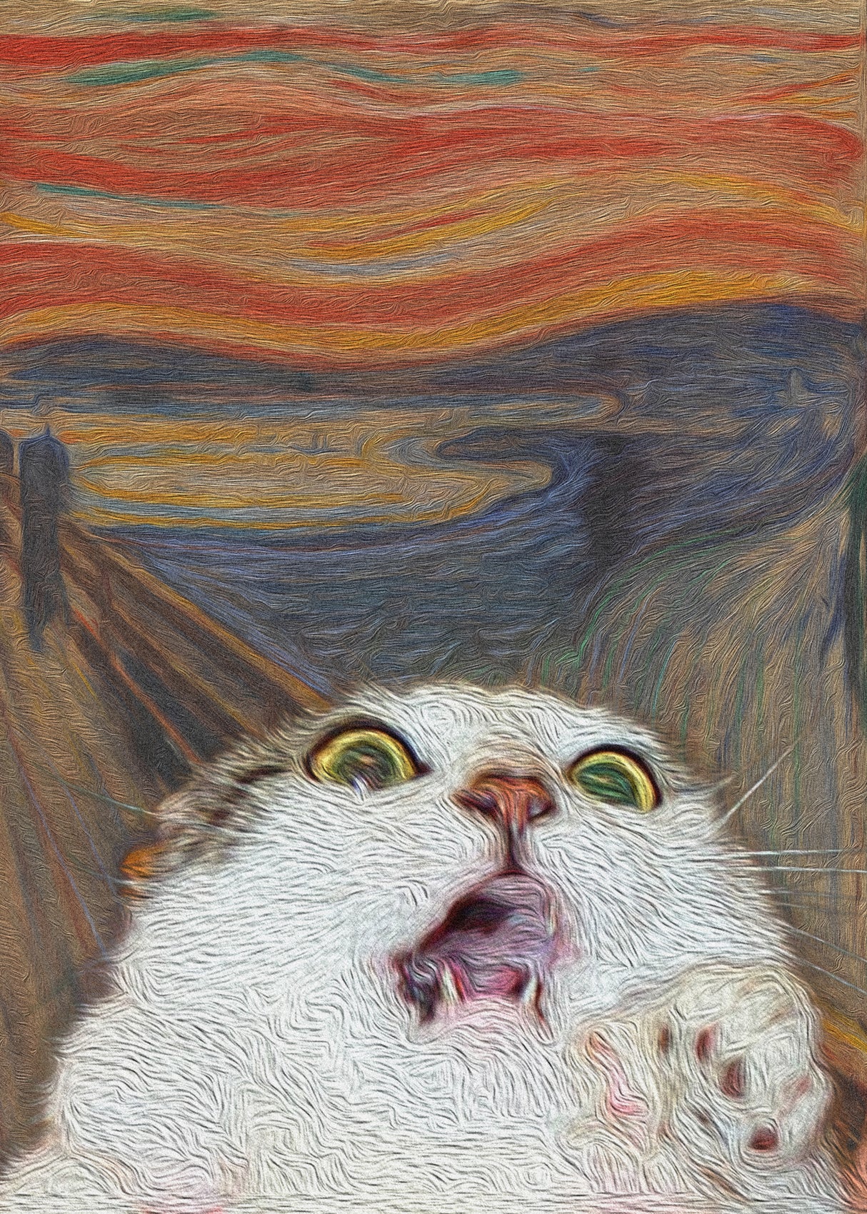 The Meow 01 Poster och Canvastavla