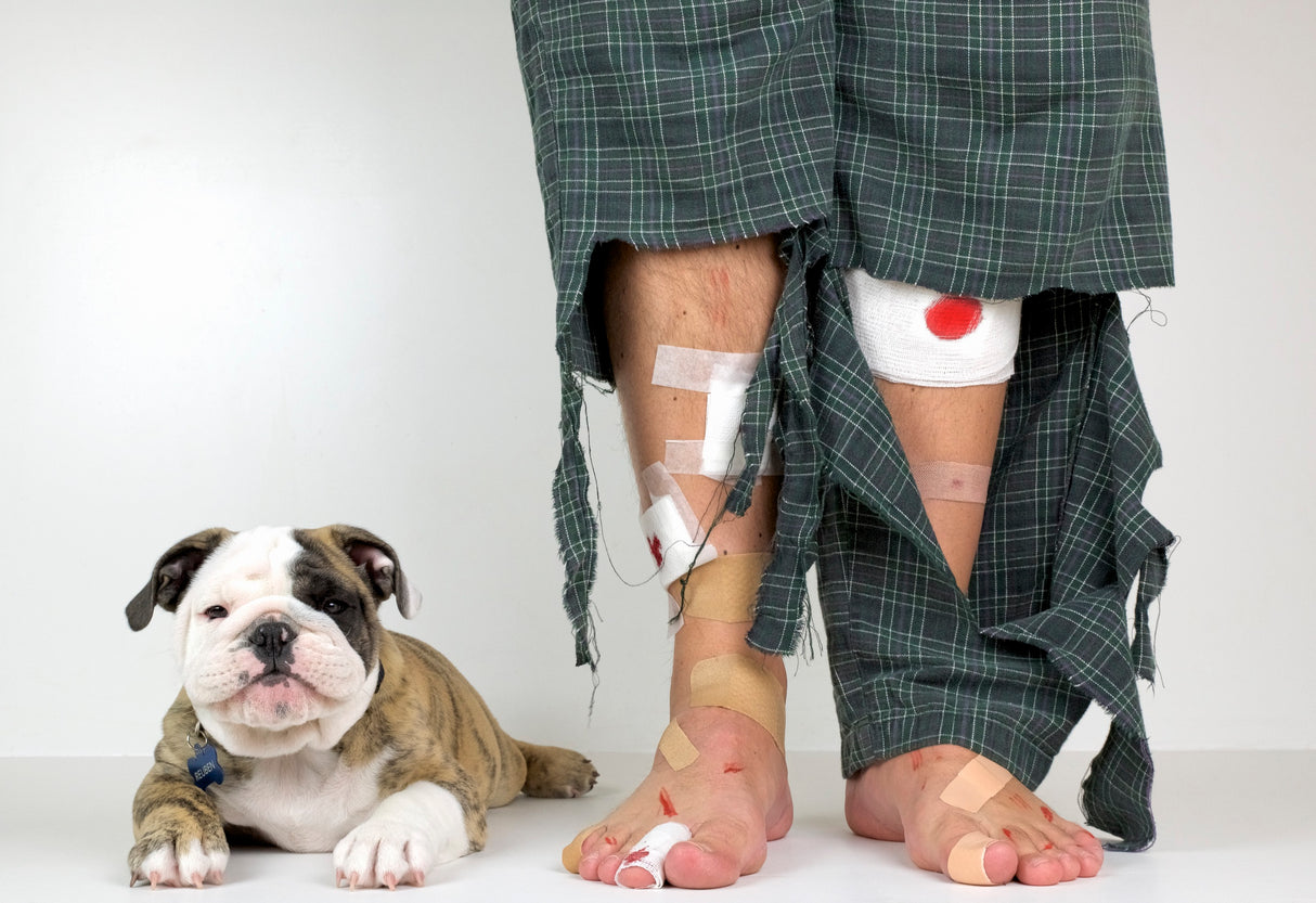 Get A Puppy, They Said Poster och Canvastavla