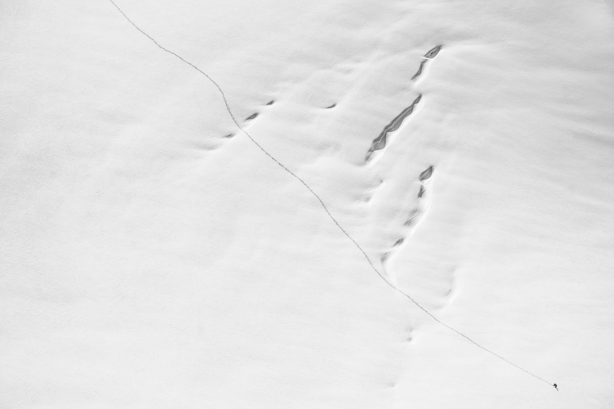 a short story about the snow wanderer Poster och Canvastavla