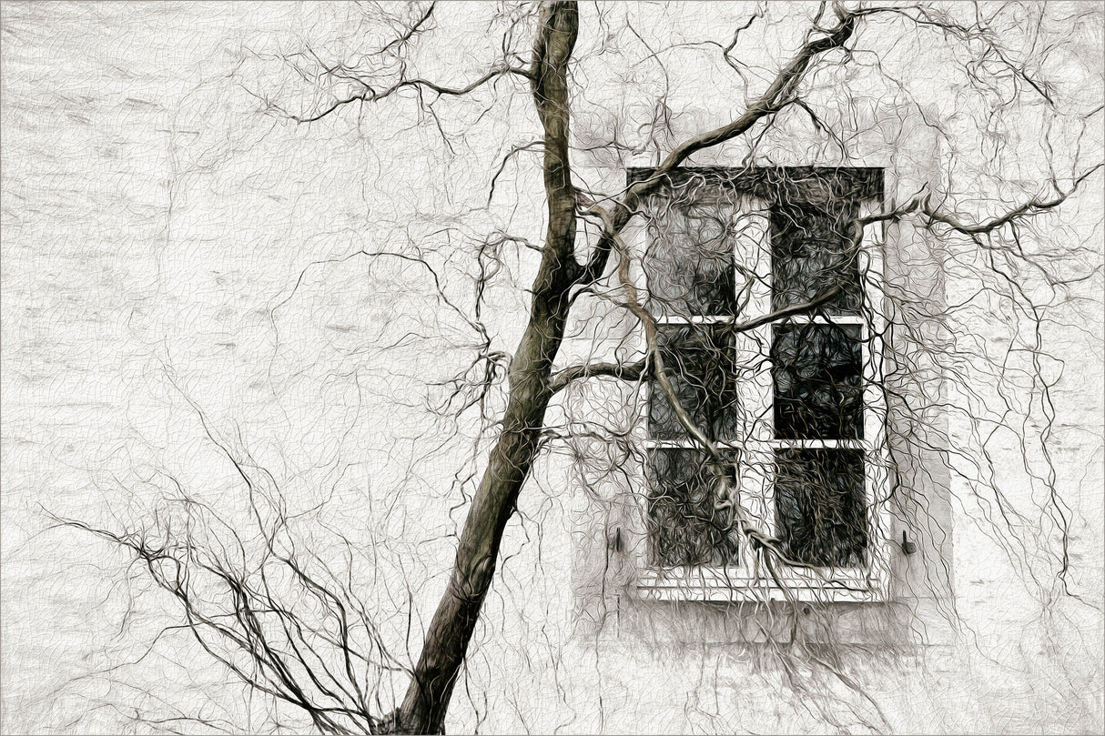 veiled window Poster och Canvastavla