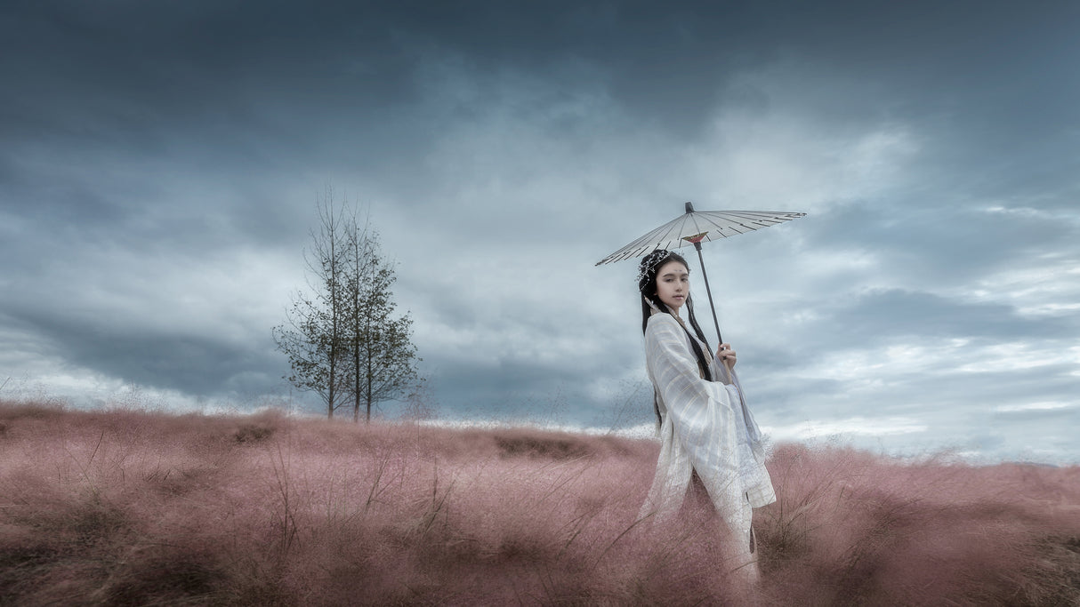 Goddess of Dark Clouds: Personification Poster och Canvastavla