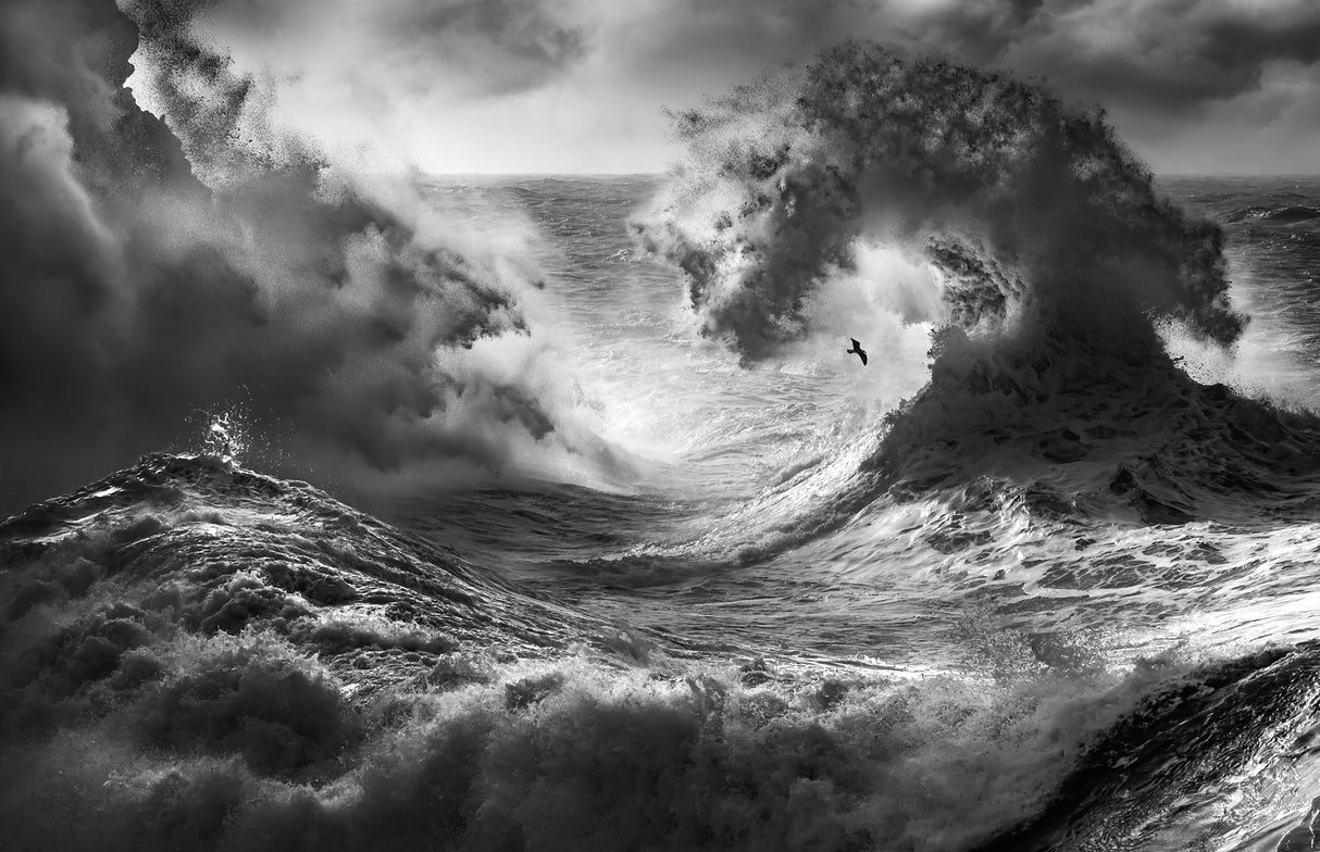 POSEIDON MAJESTY (Part 5) Poster och Canvastavla