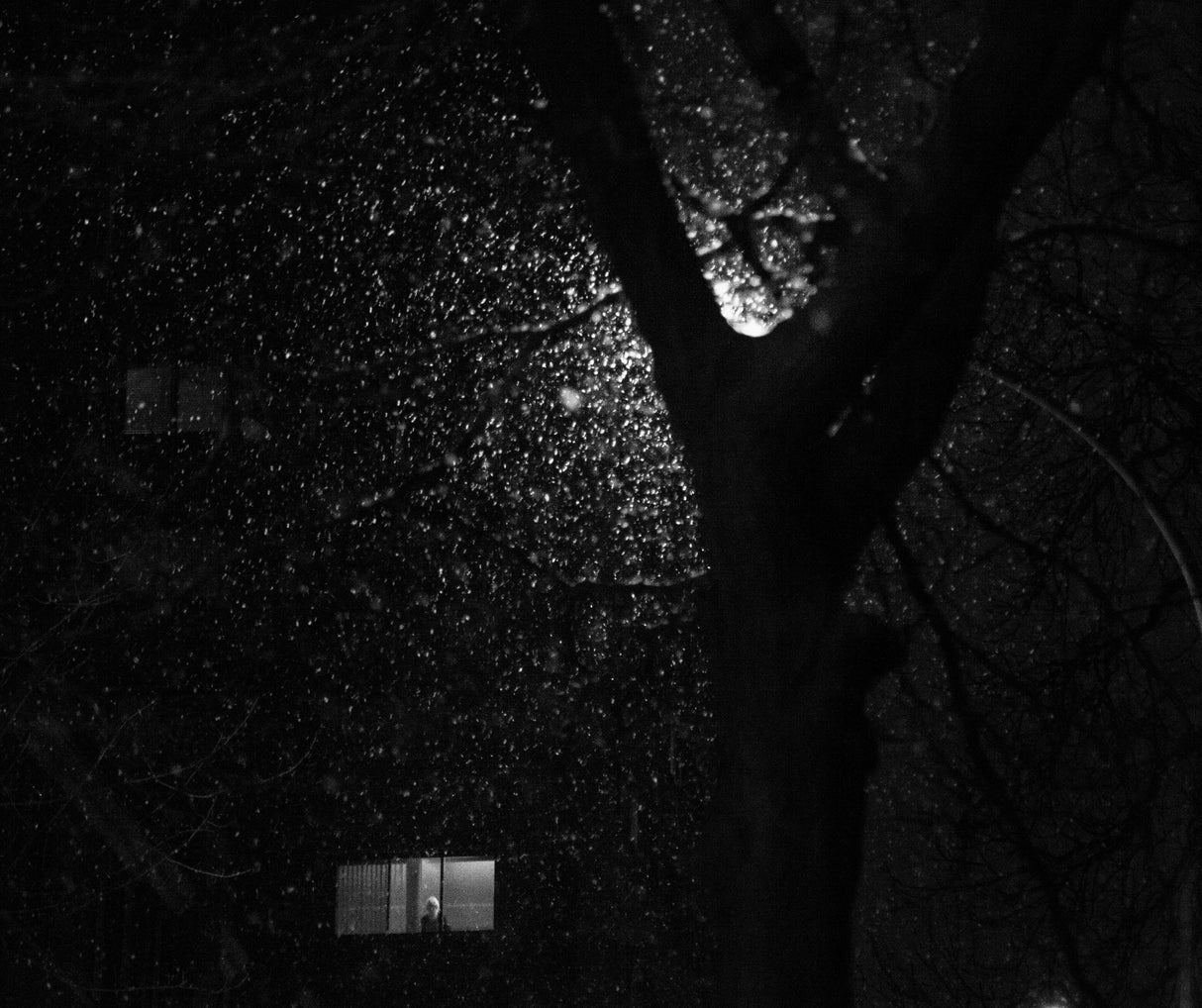 One Snowy Night Poster och Canvastavla