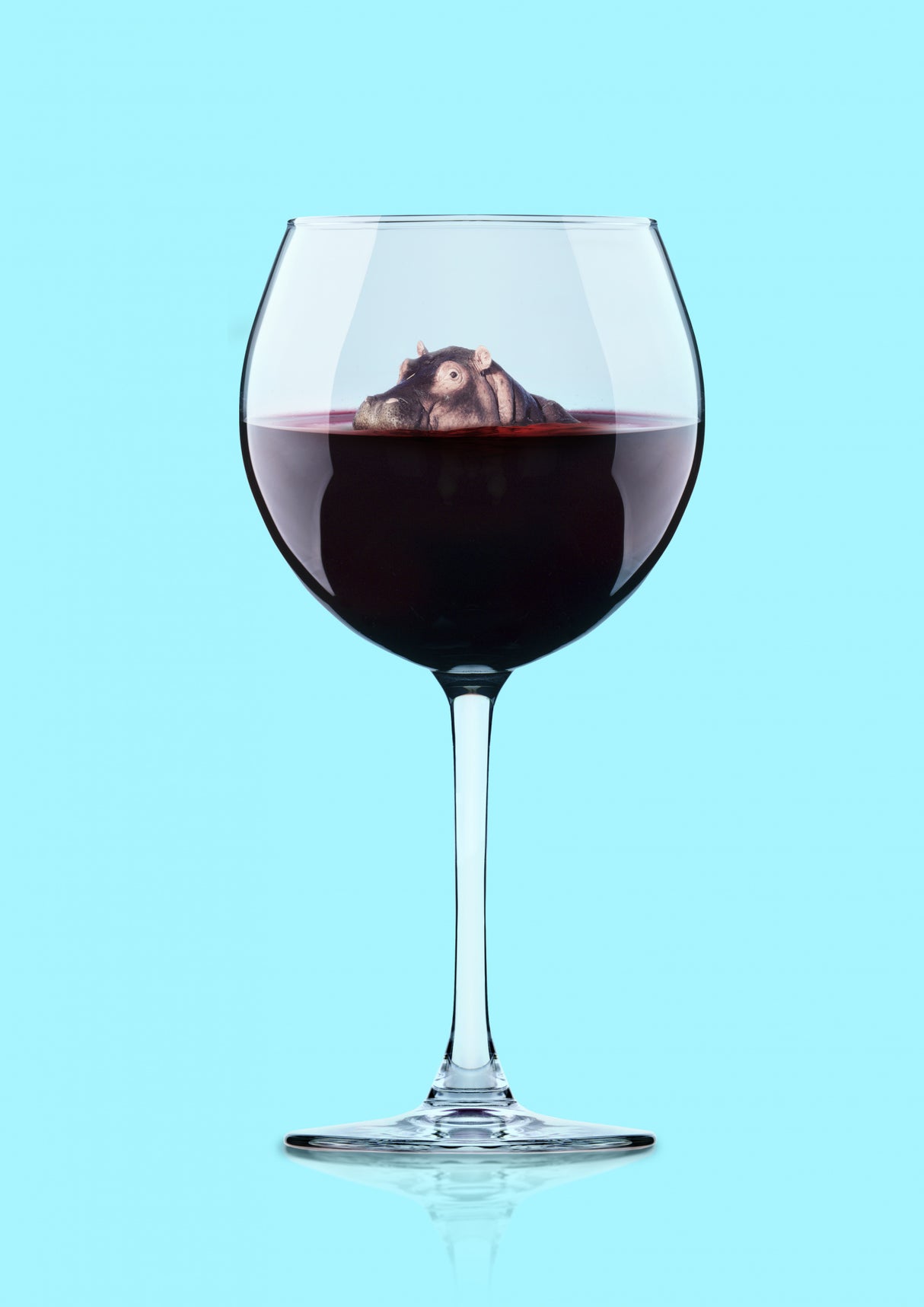 Dive in Wine Poster och Canvastavla
