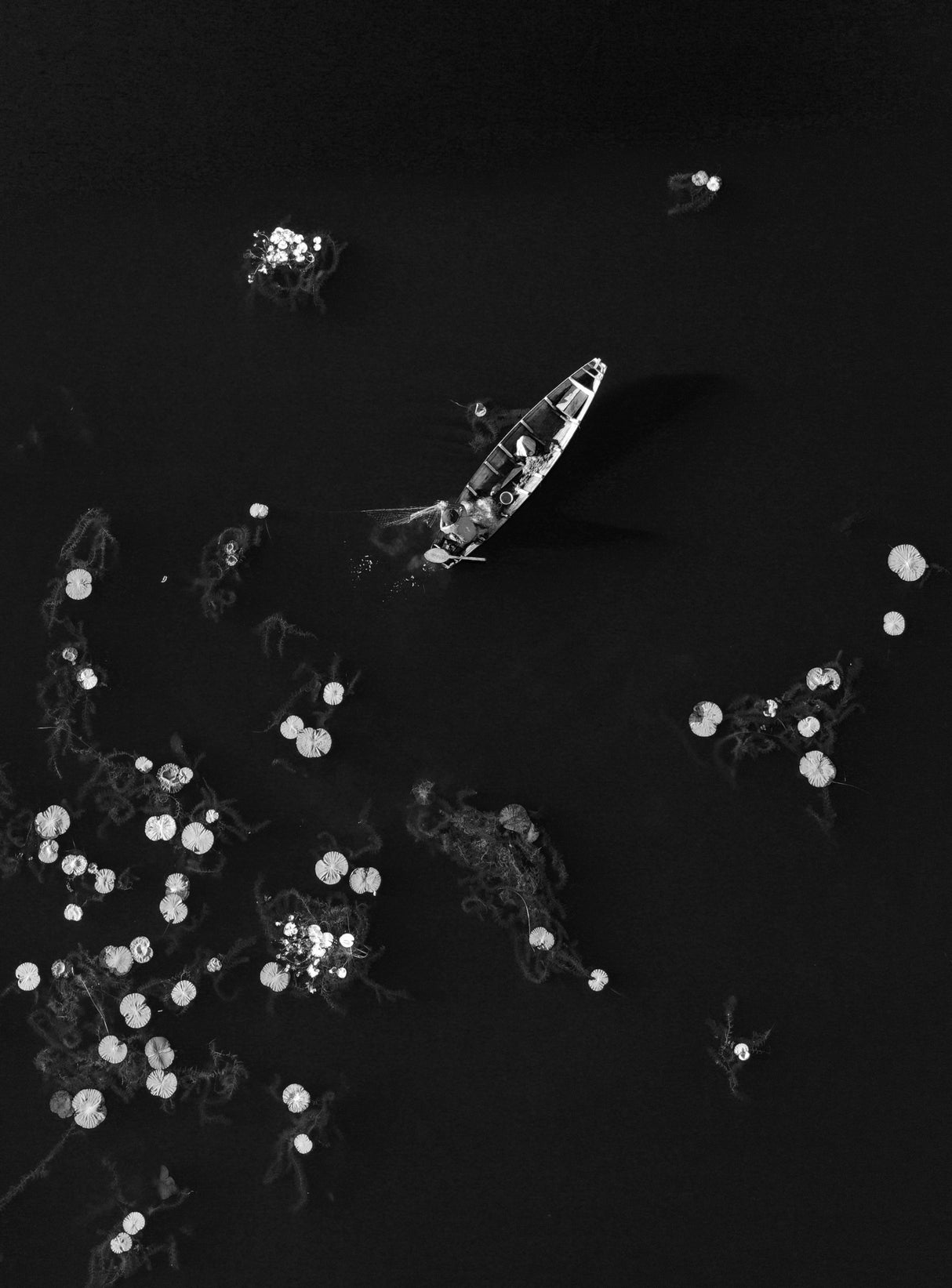 Fishing Poster och Canvastavla