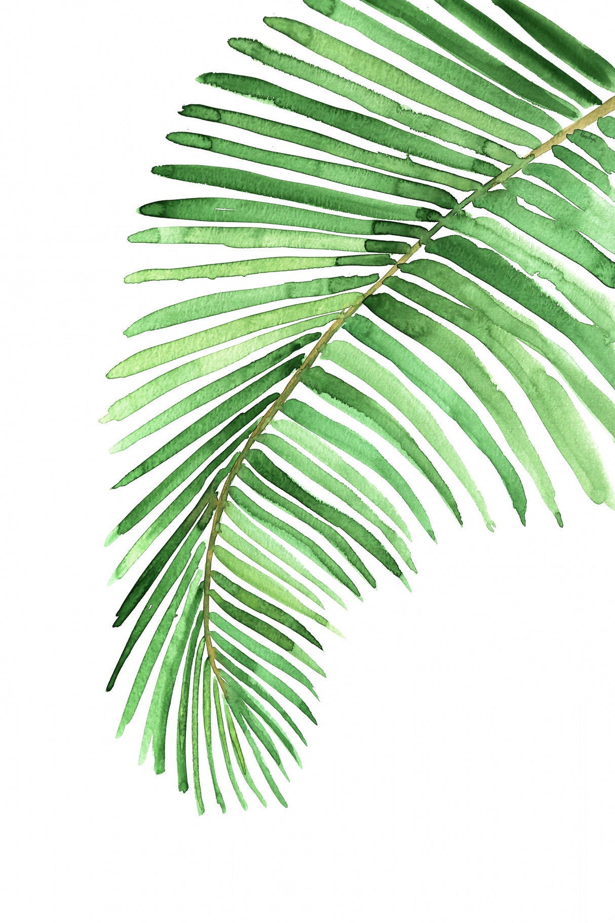 Palm leaf in loose watercolor Poster och Canvastavla