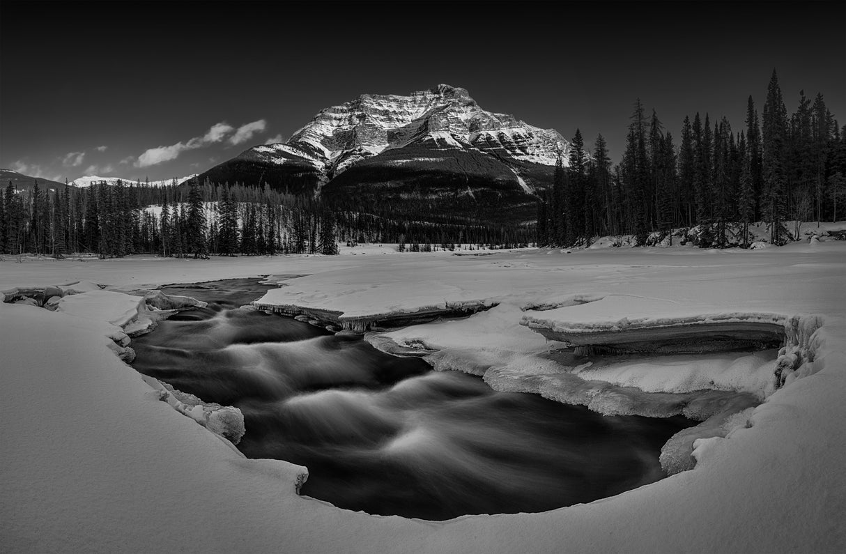 Winter Athabasca Falls Poster och Canvastavla
