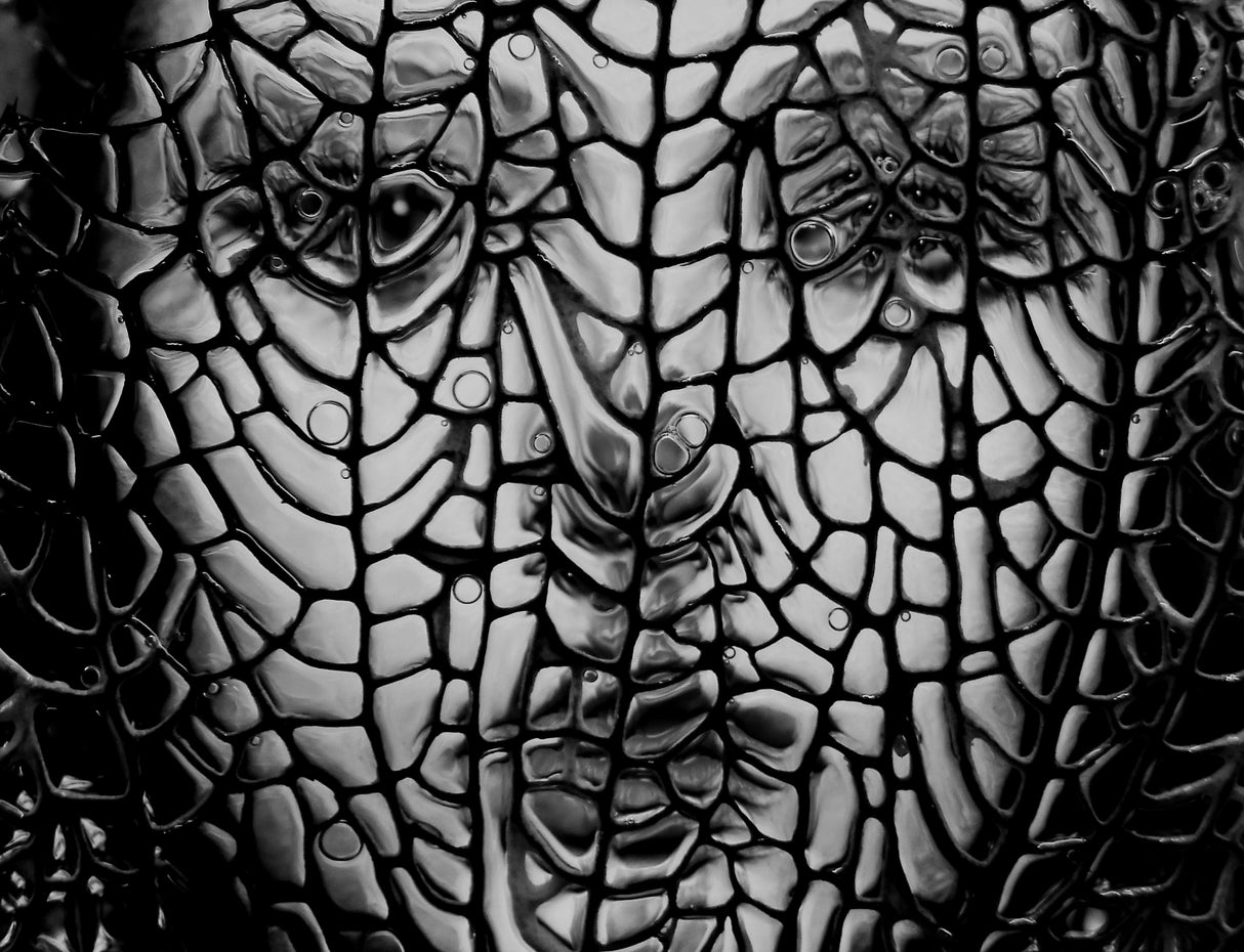 Portrait Abstract Poster och Canvastavla