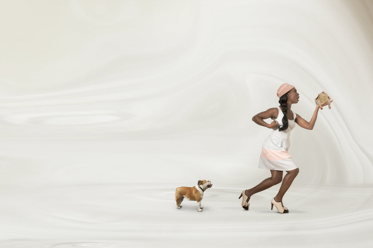 Chicken-walk Poster och Canvastavla
