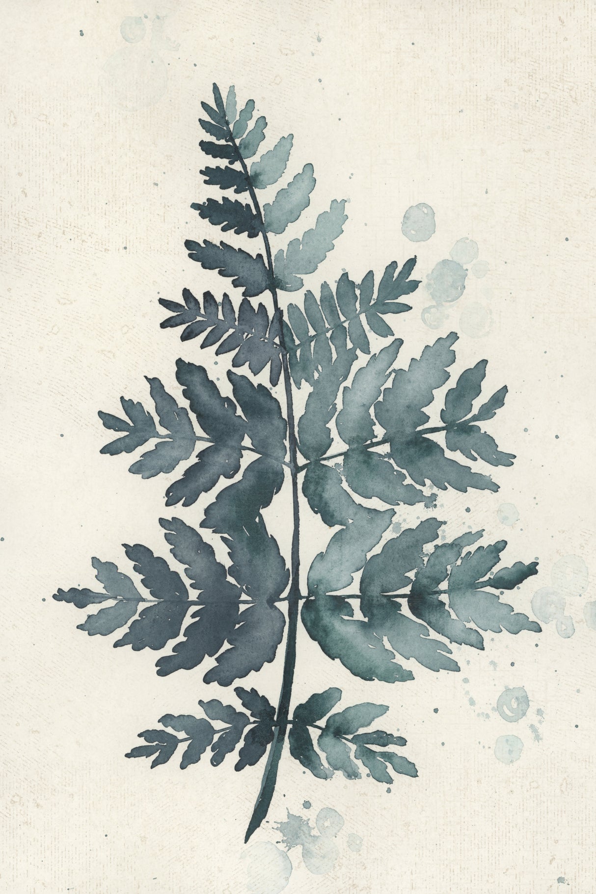 Teal watercolor fern 1 Poster och Canvastavla