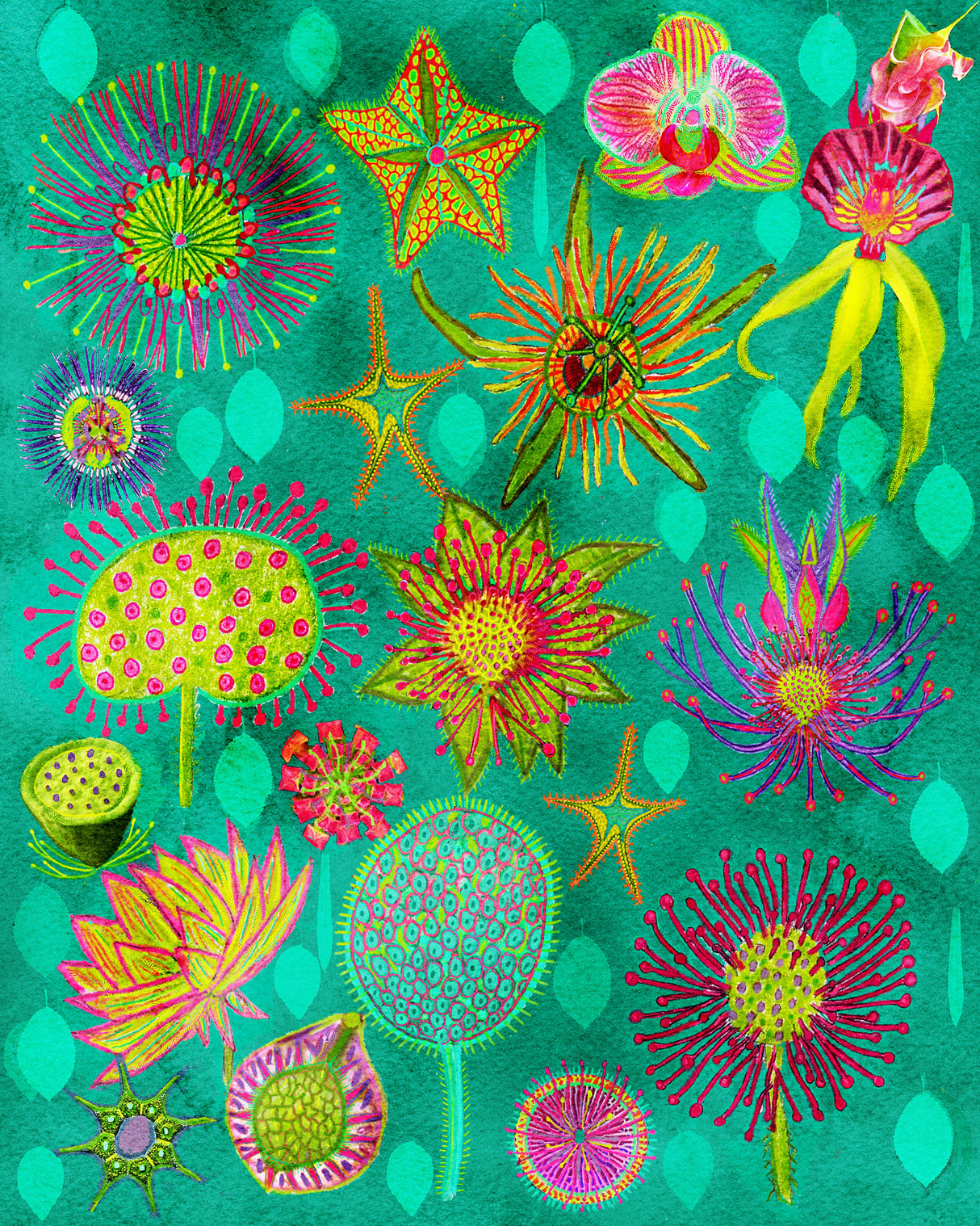 Electric Candy Forest.png Poster och Canvastavla