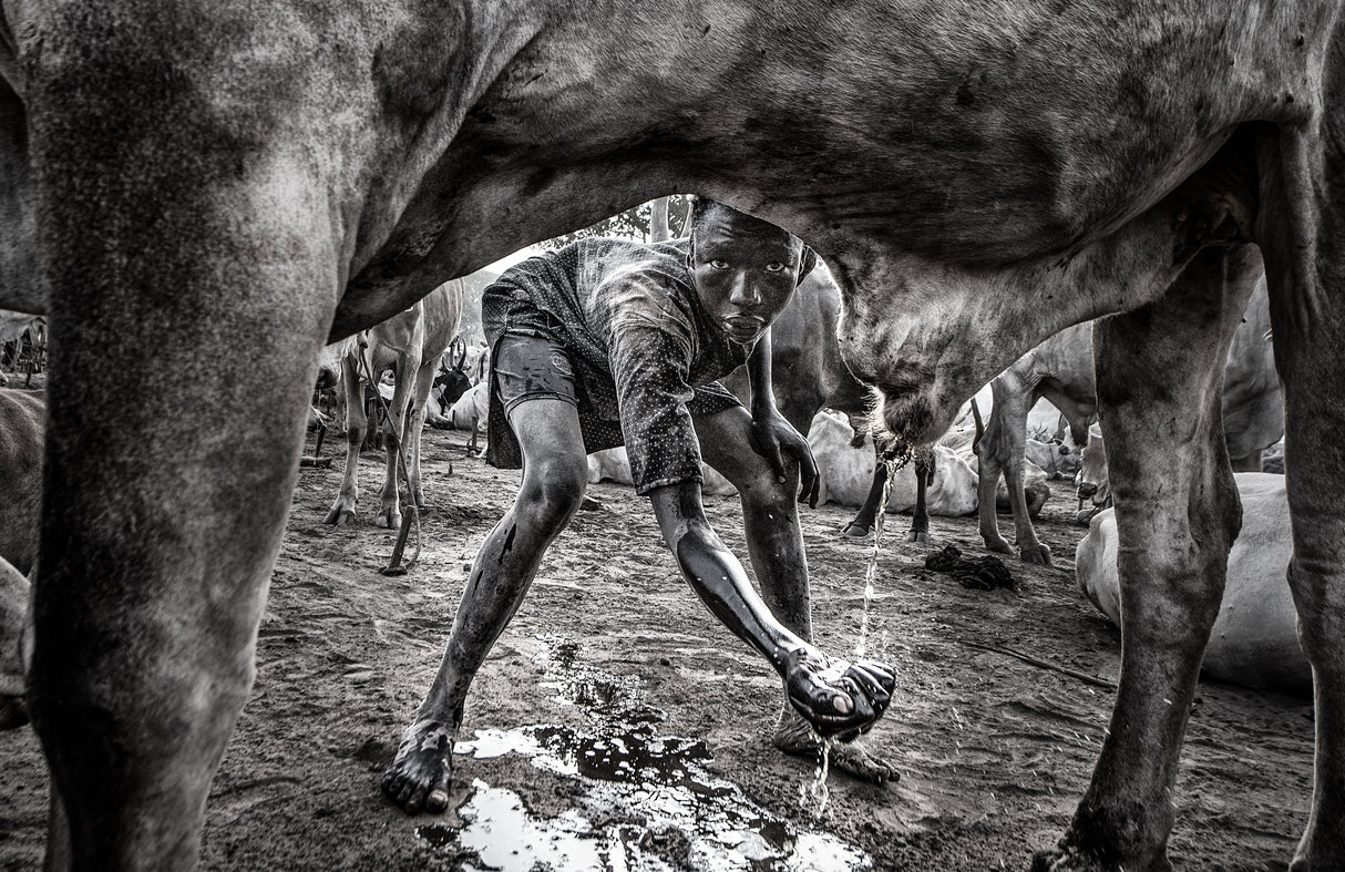 Mundari child collecting urine to wash his face - South Sudan Poster och Canvastavla