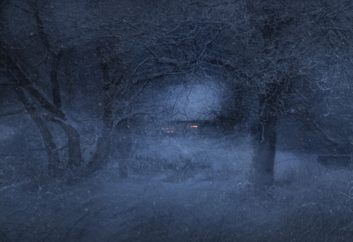 Snowy evening... Poster och Canvastavla