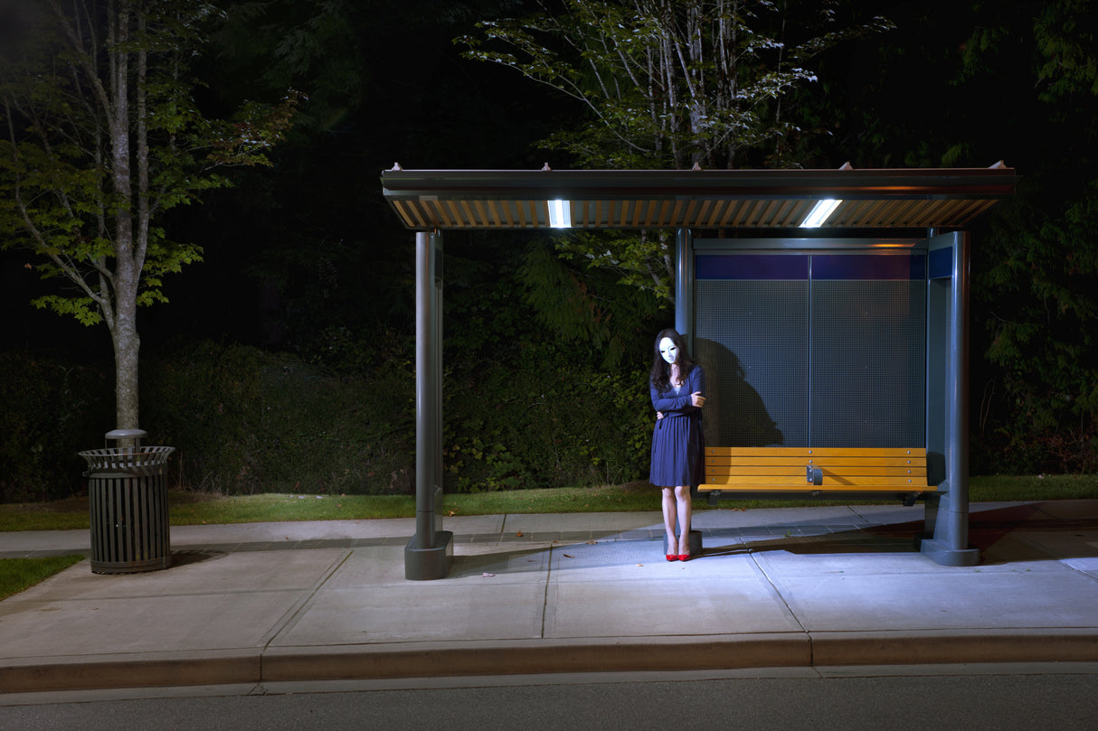 Mask #2 Poster och Canvastavla